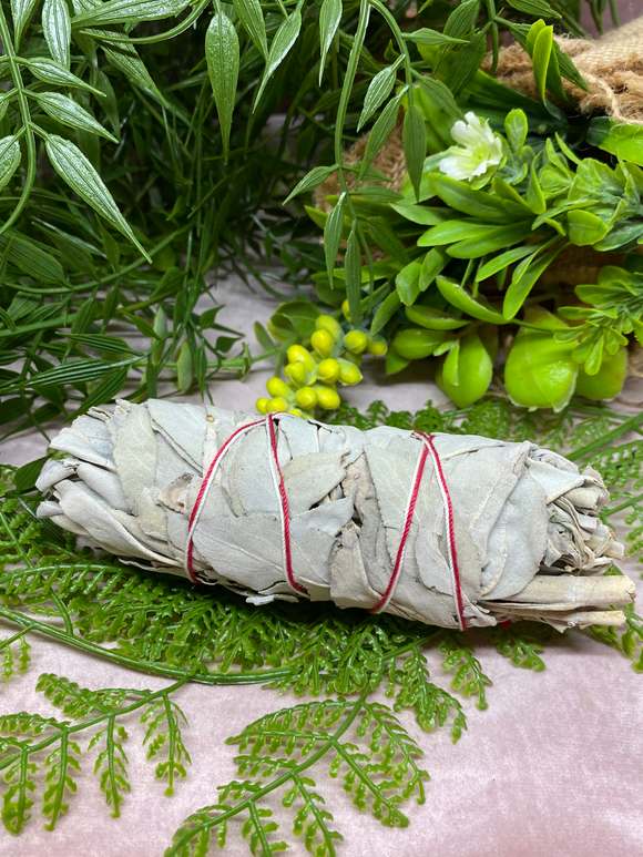 White-Sage-by-Crystal-Healing-and-Energy